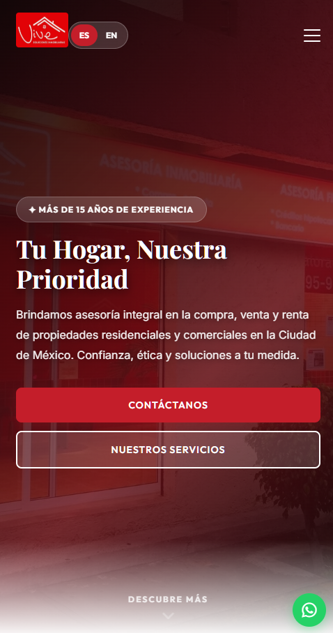 Sitio web de Vive Soluciones desarrollado por Ponciano Studio
